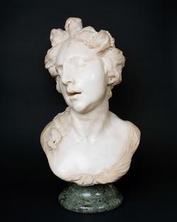 An image of Bust