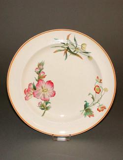 An image of Plate