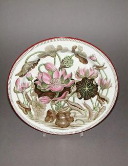 An image of Plate