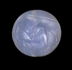 An image of Seal