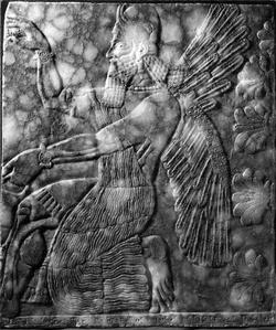 An image of Relief