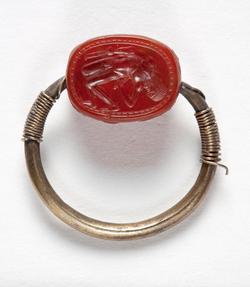 An image of Scarab