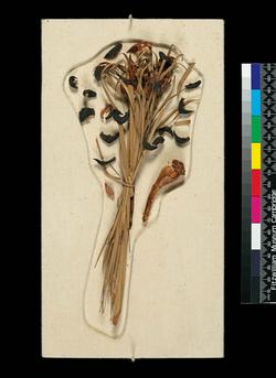 An image of Bouquet