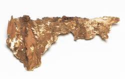An image of Coffin fragment