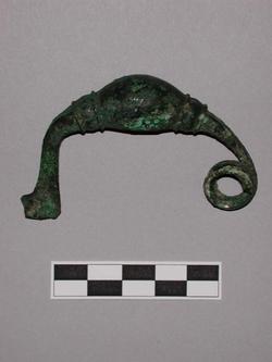 An image of Fibula