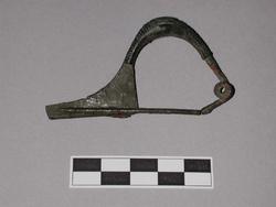 An image of Fibula