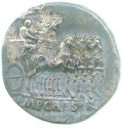 An image of Denarius