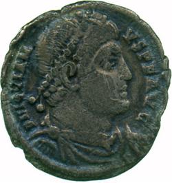An image of Reduced siliqua