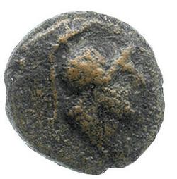 An image of Didrachm