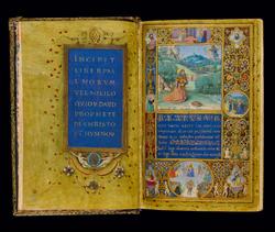 An image of Psalter