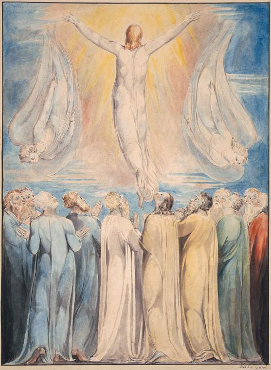 The Ascension