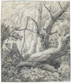 An image of Drawing