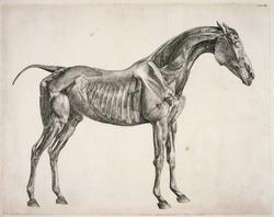 An image of Print