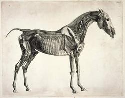 An image of Print