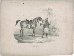 An image of Print