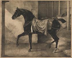 An image of Print