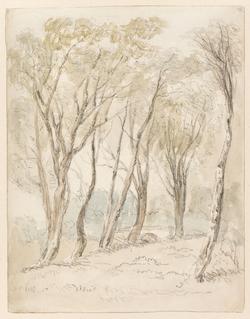 An image of Drawing
