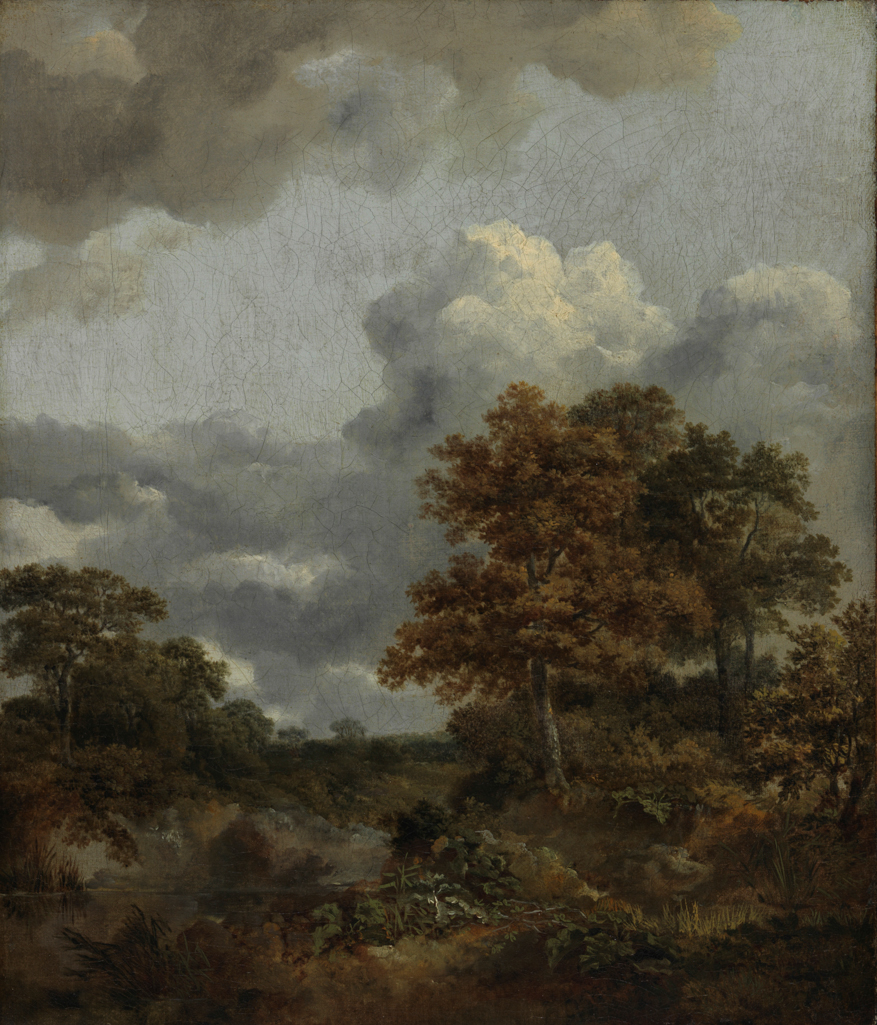 Landscape with a pool